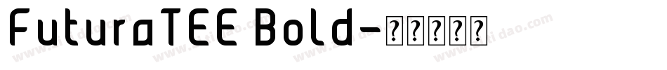 FuturaTEE Bold字体转换
